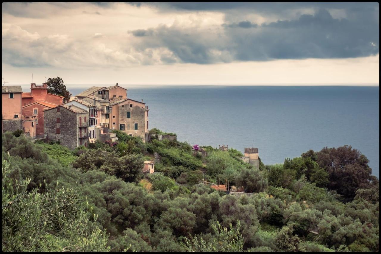 Corner Of Paradise Near Cinque Terre Framura Exterior photo