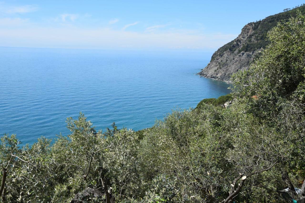 Corner Of Paradise Near Cinque Terre Framura Exterior photo