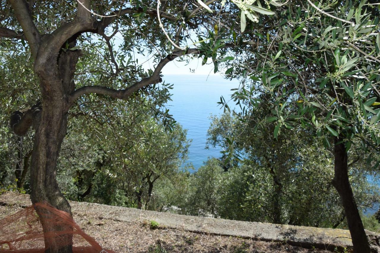 Corner Of Paradise Near Cinque Terre Framura Exterior photo